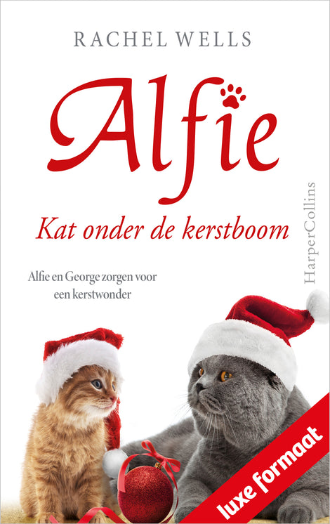 Kat onder de kerstboom