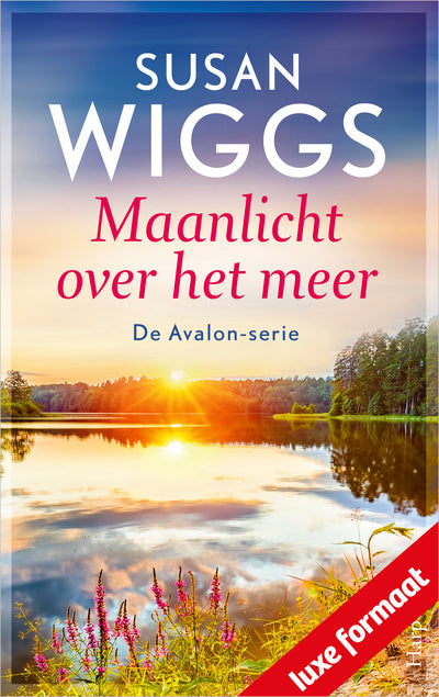 Maanlicht over het meer