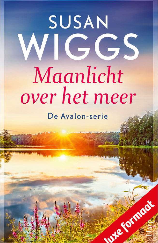 Maanlicht over het meer