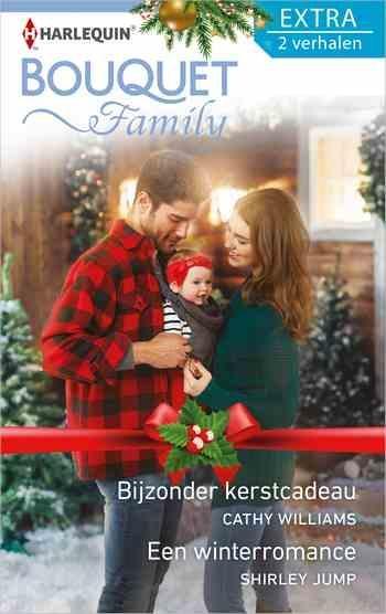 Bijzonder kerstcadeau / Een winterromance