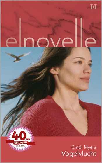 Vogelvlucht