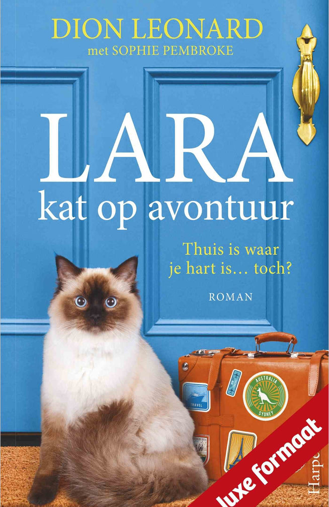 Lara, kat op avontuur