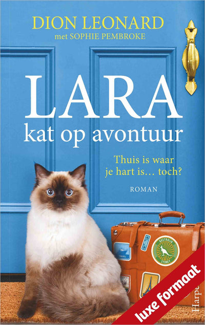 Lara, kat op avontuur