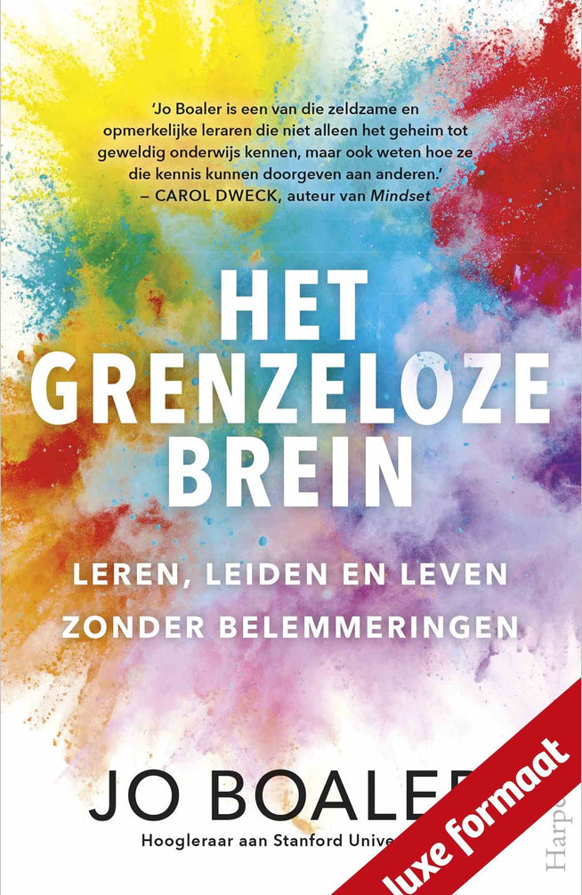 Het grenzeloze brein