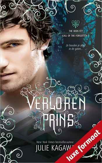 De verloren prins