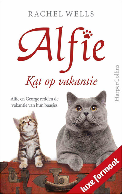 Kat op vakantie