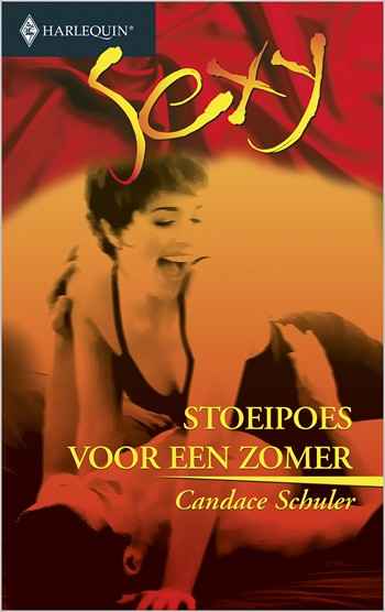 Stoeipoes voor een zomer